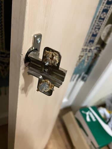 IMG_20251015_142854_821