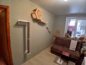 зображення_viber_2026-02-19_16-13-26-707