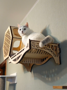 зображення_viber_2026-02-19_16-13-35-723